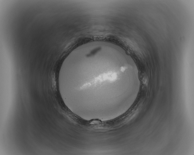 X0000111481252200908041115