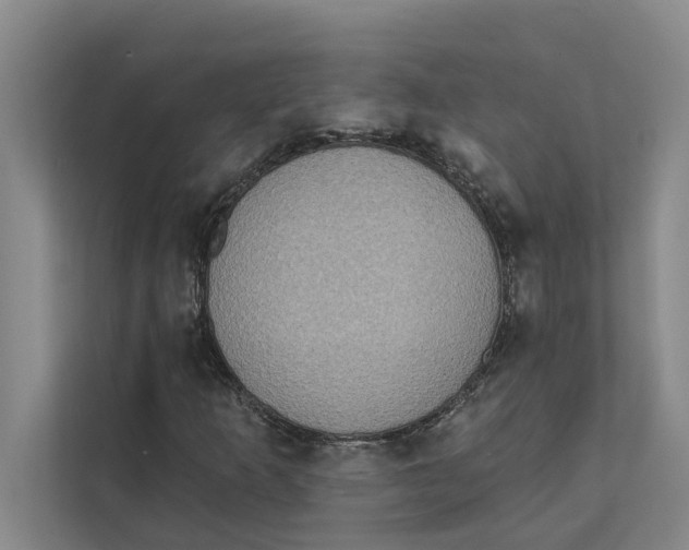 X0000111481253200908041115