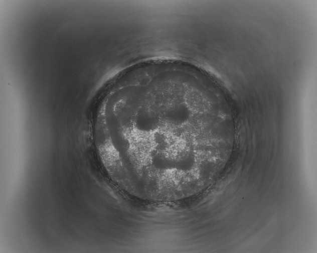 X0000111481255200908041115