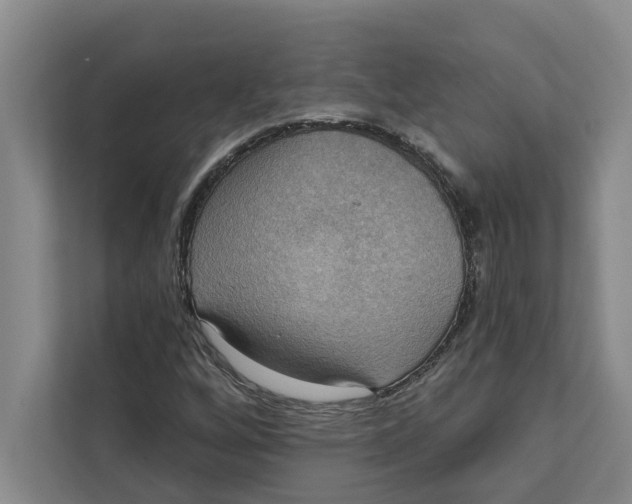 X0000111481256200908041115