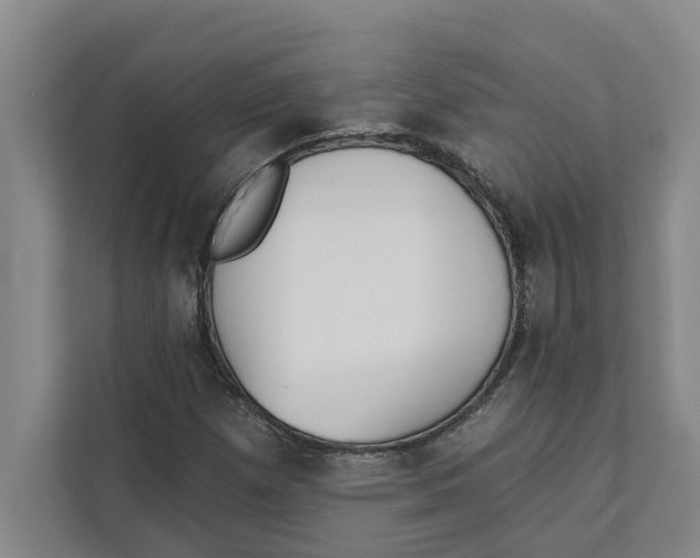 X0000111481257200908041115