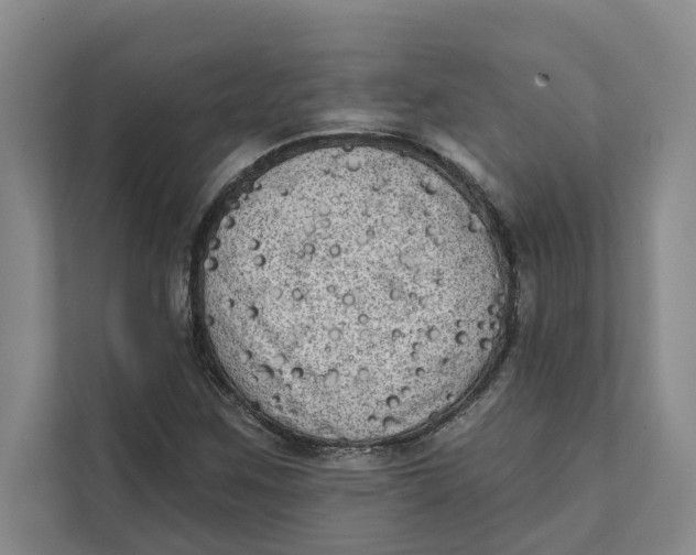 X0000111481259200908041115