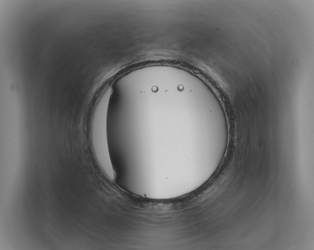 X0000111481261200908041115