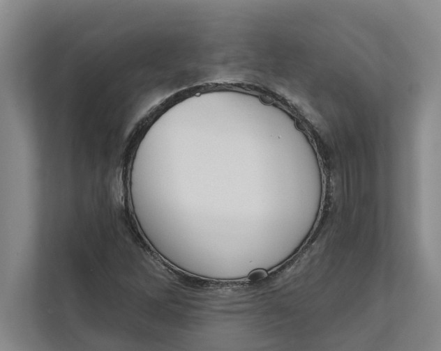 X0000111481262200908041115