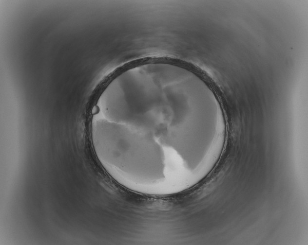 X0000111481263200908041115