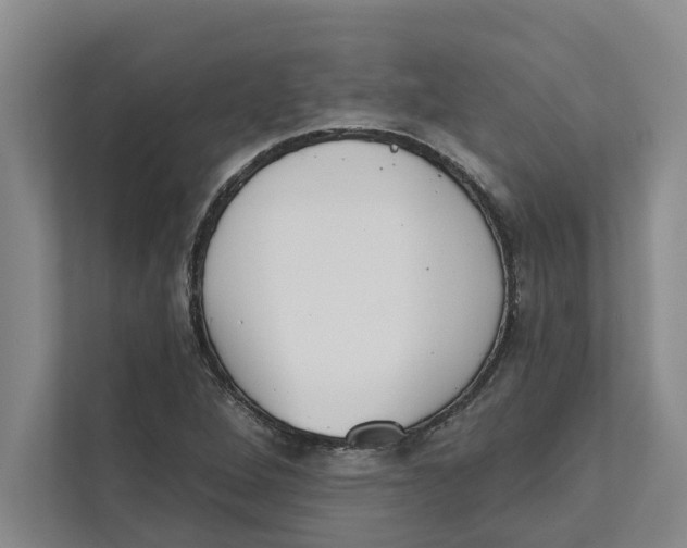 X0000111481264200908041115