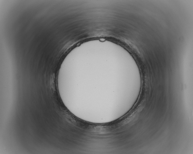 X0000111481265200908041115