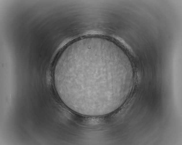 X0000111481266200908041115