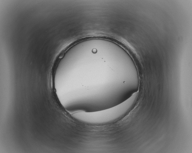 X0000111481269200908041115