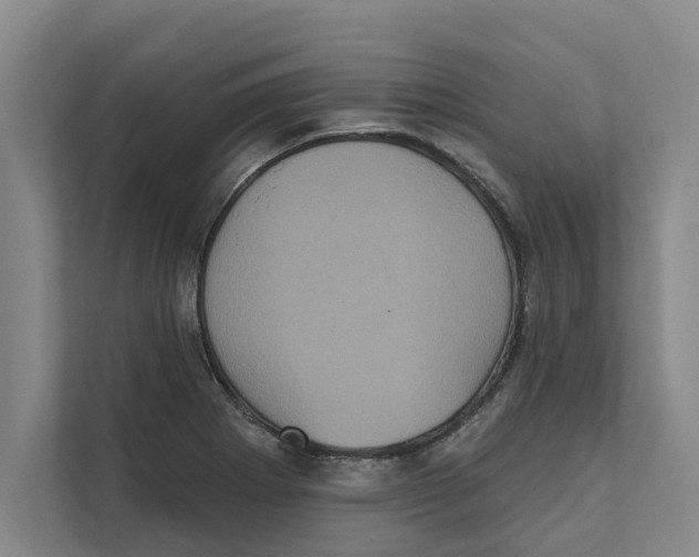 X0000111481273200908041115