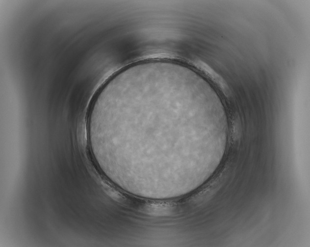 X0000111481274200908041115