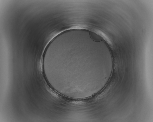 X0000111481276200908041115