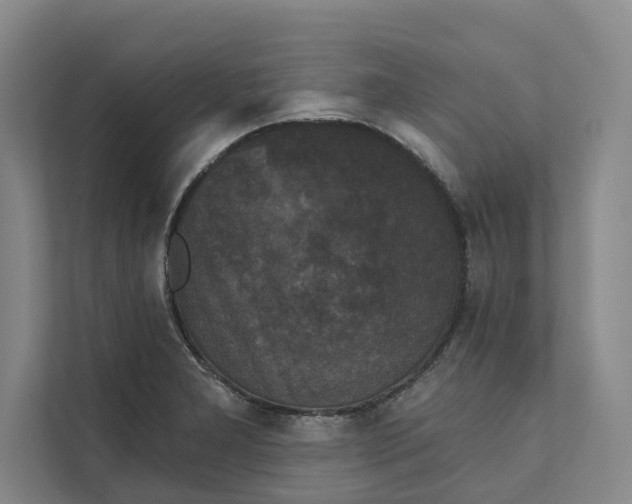 X0000111481277200908041115