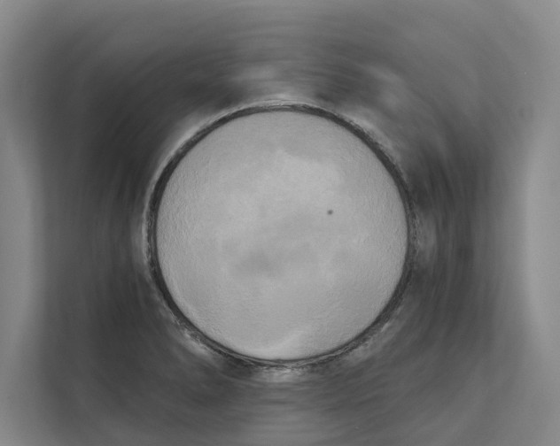 X0000111481278200908041115