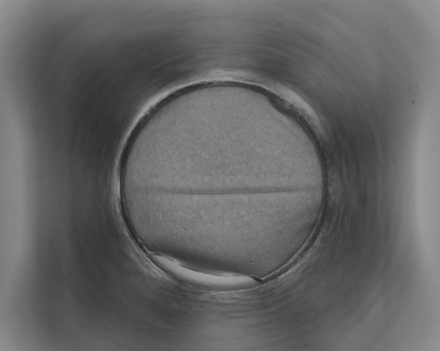 X0000111481280200908041115