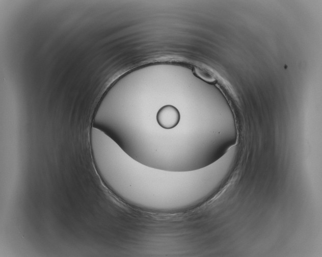 X0000111481281200908041115