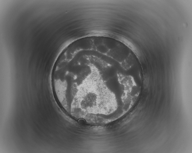 X0000111481283200908041115
