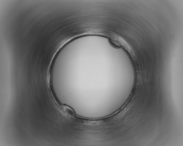 X0000111481284200908041115
