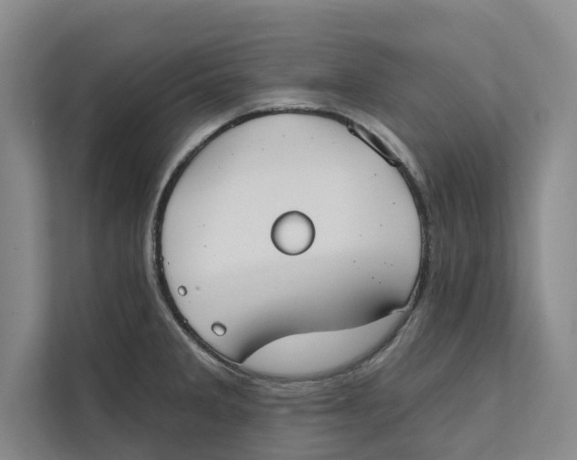X0000111481285200908041115
