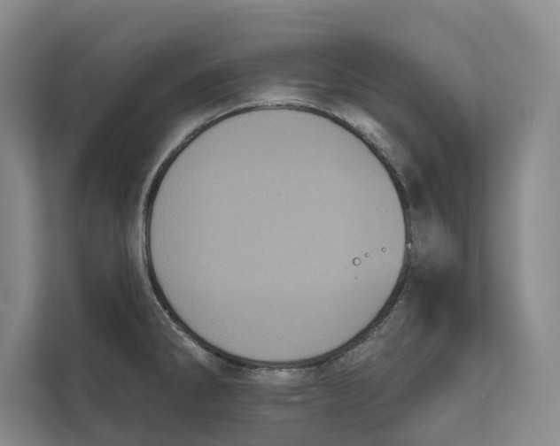 X0000111481286200908041115