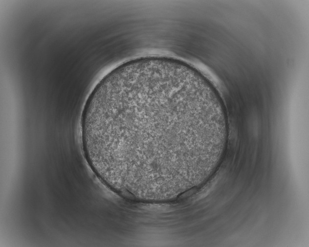 X0000111481287200908041114
