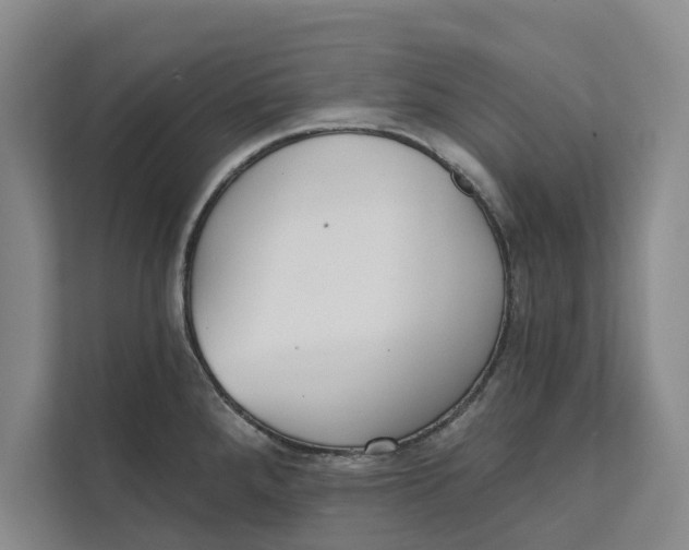 X0000111481288200908041114