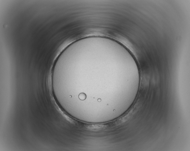 X0000111481290200908041114