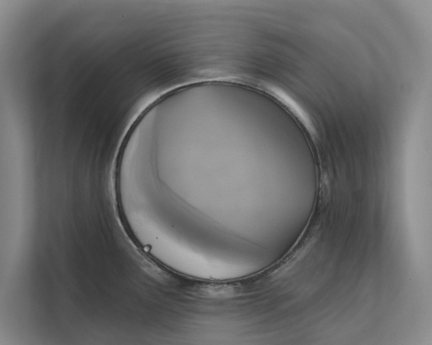 X0000111481291200908041114