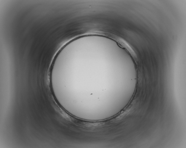 X0000111481292200908041114