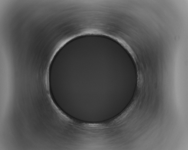 X0000111481295200908041114