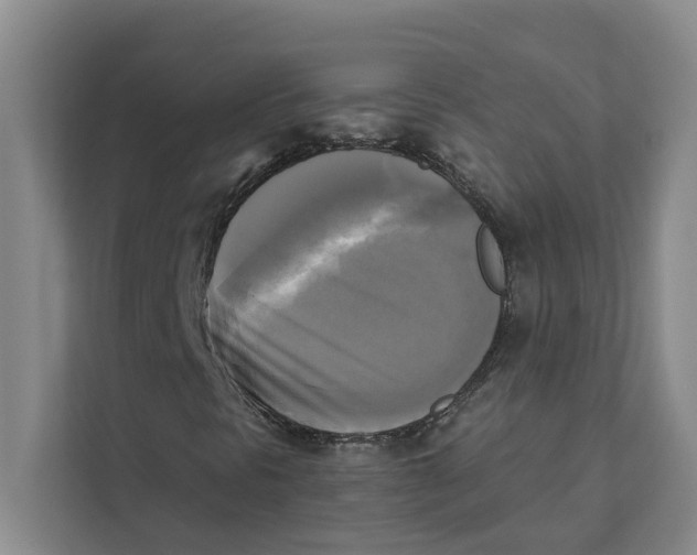X0000111481297200908041114