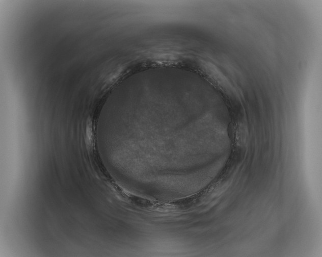 X0000111481298200908041114
