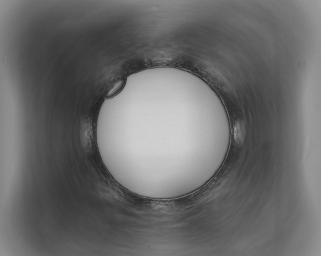 X0000111481299200908041114