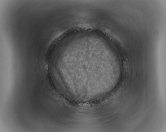 X0000111481302200908041114