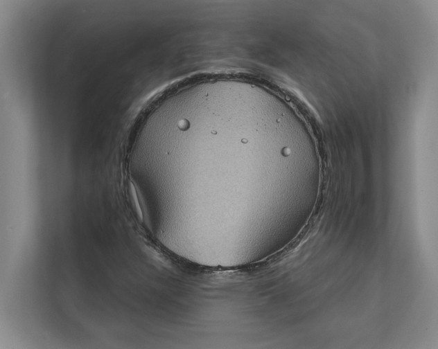X0000111481304200908041114