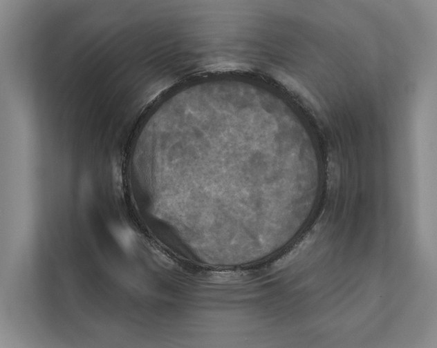 X0000111481305200908041114