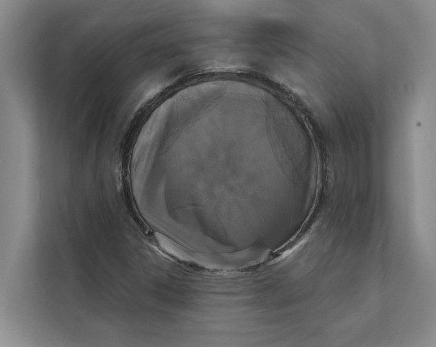 X0000111481306200908041114
