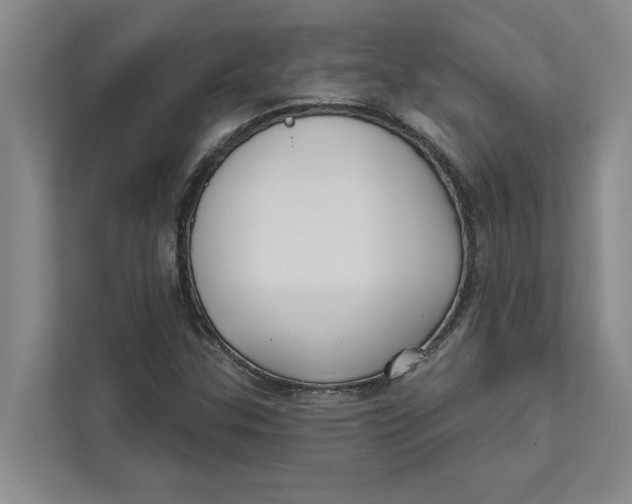 X0000111481307200908041114