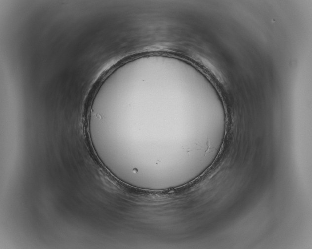 X0000111481308200908041114