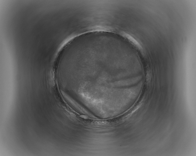 X0000111481310200908041114