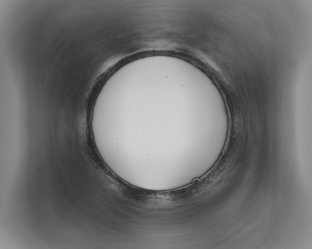 X0000111481315200908041114
