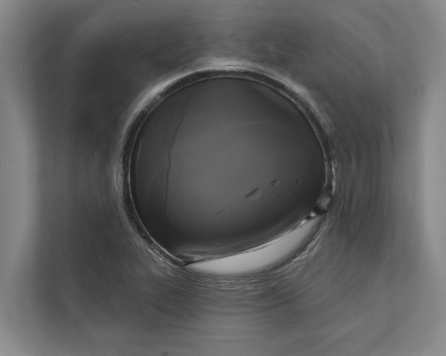 X0000111481319200908041114