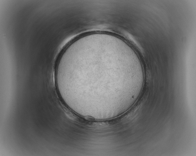 X0000111481320200908041114