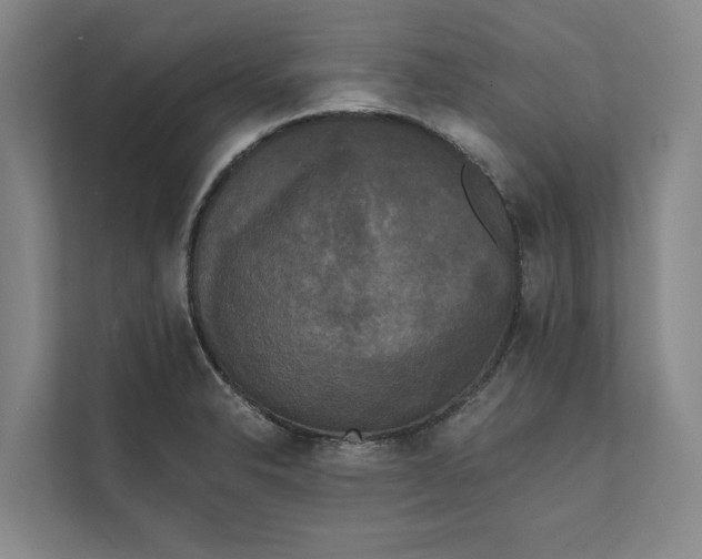 X0000111481326200908041114