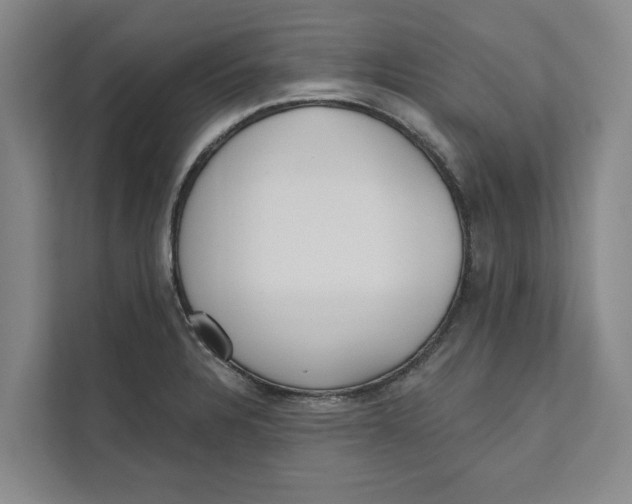 X0000111481328200908041114