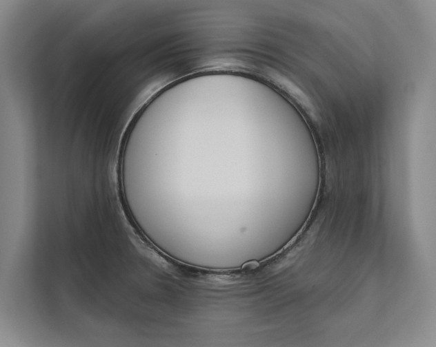 X0000111481330200908041114