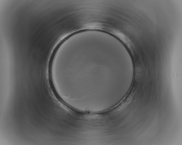 X0000111481331200908041114