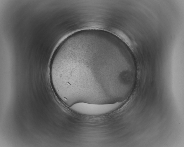X0000111481332200908041114