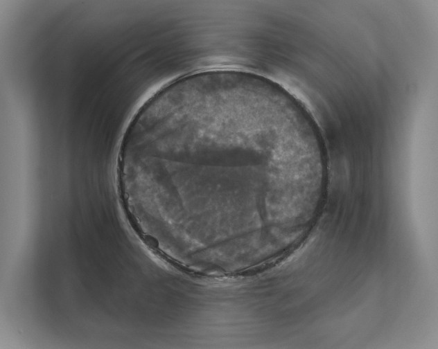 X0000111481333200908041114