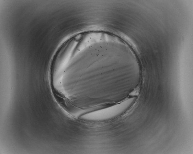X0000111481334200908041114